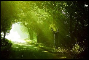 《尘路》