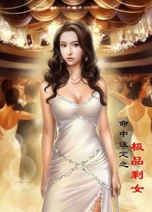 《极品剩女(命中注定系列)》