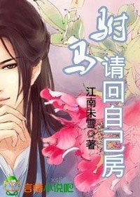 《驸马,请回自己房》
