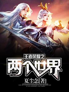 《王者荣耀之两个世界》