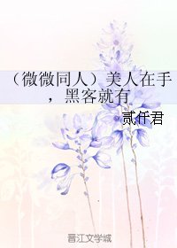 (微微一笑很倾城同人)美人在手,黑客就有