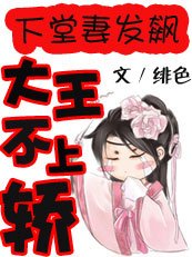 《下堂妻发飙:大王不上轿》