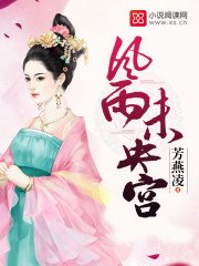 《风雨未央宫》