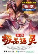 《极品通灵系统》
