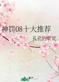 《神罚08十大推荐》