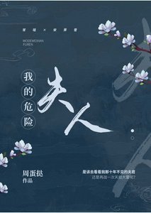 《我的危险夫人》