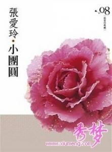 《小团圆》