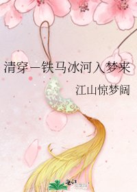 《清穿-铁马冰河入梦来》