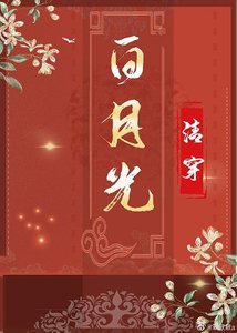清穿之白月光(穿書)