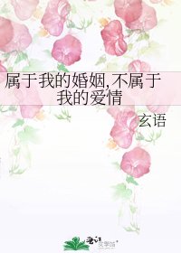 《属于我的婚姻,不属于我的爱情》