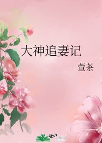 《大神追妻记》