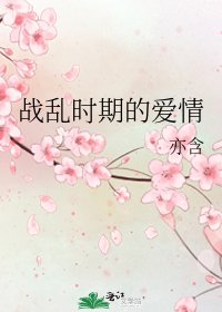 《战乱时期的爱情》