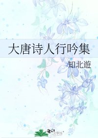 《大唐诗人行吟集》