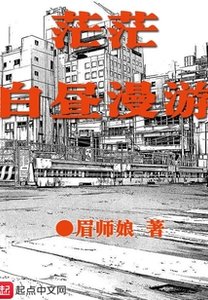 《茫茫白昼漫游》
