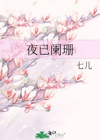 《夜已阑珊》