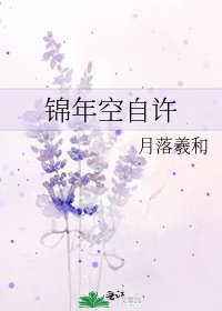 《锦年空自许》