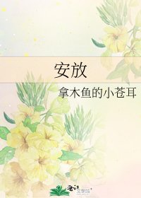 《安放》