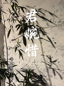 《君婉惜》
