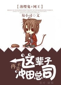 《(BL/薄樱鬼+网王同人)这辈子不再是冲田总司 》